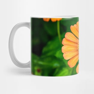 Orange Coneflower with Yellow and Red Center Mug